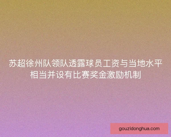 苏超徐州队领队透露球员工资与当地水平相当并设有比赛奖金激励机制
