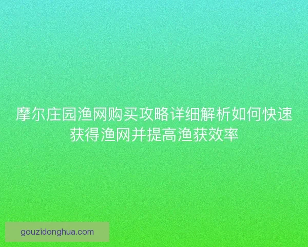 摩尔庄园渔网购买攻略详细解析如何快速获得渔网并提高渔获效率