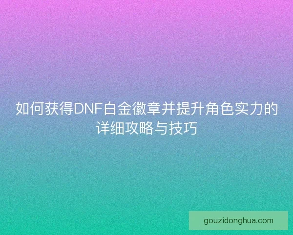 如何获得DNF白金徽章并提升角色实力的详细攻略与技巧