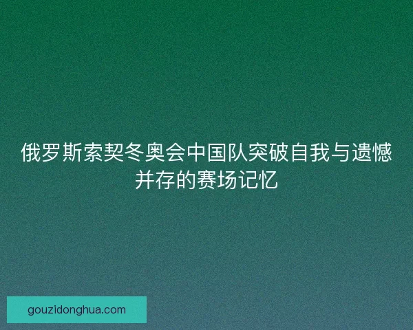 俄罗斯索契冬奥会中国队突破自我与遗憾并存的赛场记忆 俄罗斯索契冬奥会中国队突破自我与遗憾并存的赛场记忆