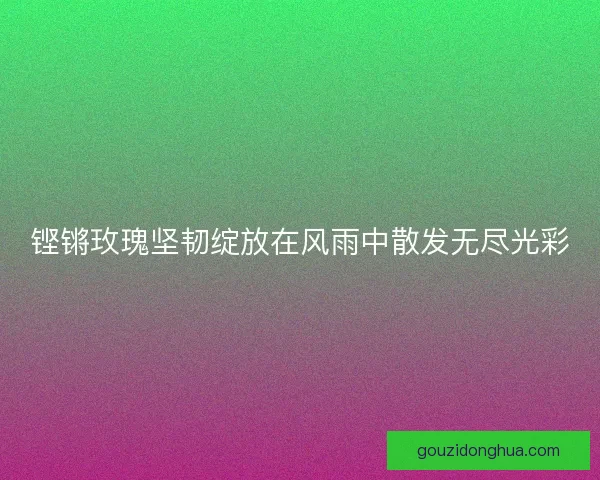 铿锵玫瑰坚韧绽放在风雨中散发无尽光彩